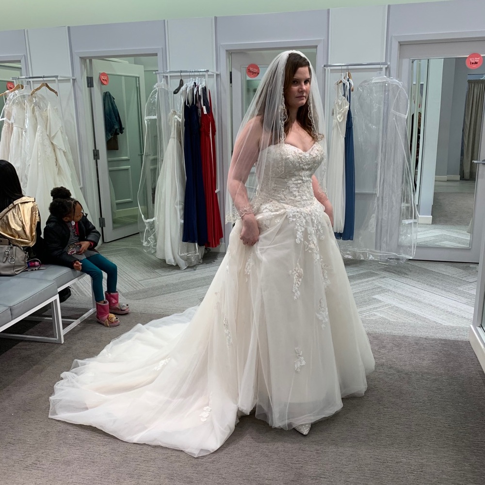 David’s Bridal lace & tulle princess wedding gown